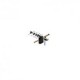 Inverto BLACK Pro Monoblok 0,2  dB, quad